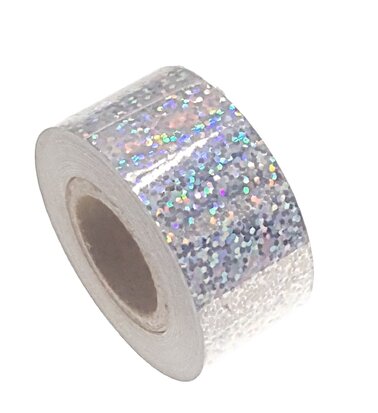 Ruban Paillettes argent 25mm