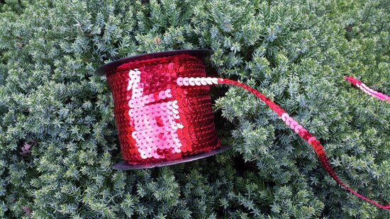 Sequin trim red 