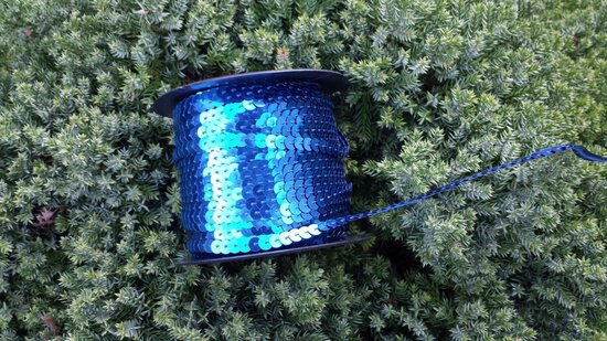 Sequin trim blue