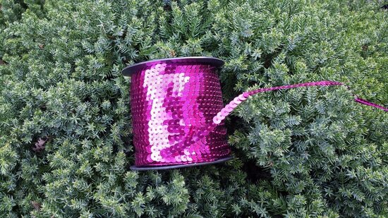 Sequin trim fuchsia