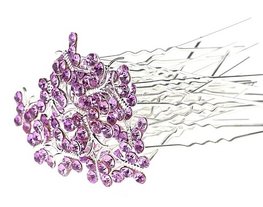 Épingles papillon violet