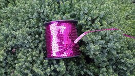 Paillettenband fuchsia Paillettenband fuchsia